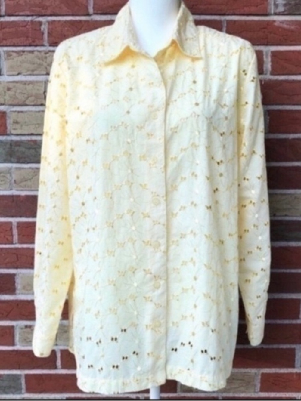 Draper’s & Damon’s Embroidered Eyelet Yellow Long Sleeve Buttondown Shirt 👚